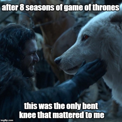 Jon Snow and Ghost | after 8 seasons of game of thrones; this was the only bent knee that mattered to me | image tagged in jon snow,ghost,game of thrones | made w/ Imgflip meme maker