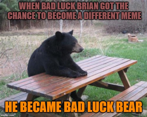 Bad Luck Brian in disguise | WHEN BAD LUCK BRIAN GOT THE CHANCE TO BECOME A DIFFERENT MEME; HE BECAME BAD LUCK BEAR | image tagged in memes,bad luck bear | made w/ Imgflip meme maker