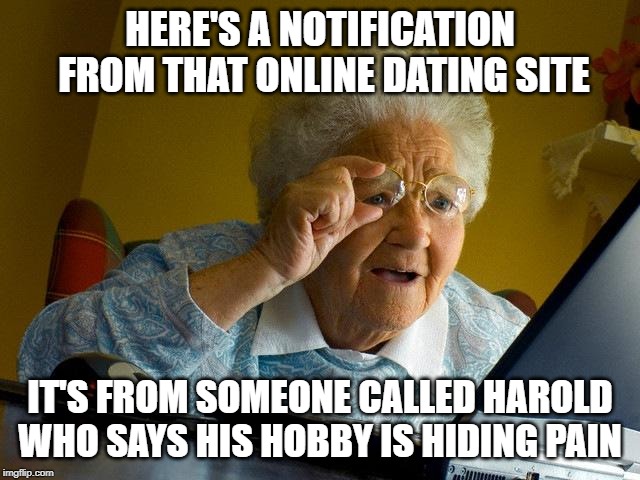 Grandma Finds The Internet | HERE'S A NOTIFICATION FROM THAT ONLINE DATING SITE; IT'S FROM SOMEONE CALLED HAROLD WHO SAYS HIS HOBBY IS HIDING PAIN | image tagged in memes,grandma finds the internet | made w/ Imgflip meme maker