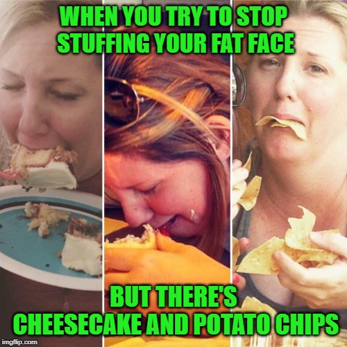 Or chocolate Twinkies. | WHEN YOU TRY TO STOP STUFFING YOUR FAT FACE; BUT THERE'S CHEESECAKE AND POTATO CHIPS | image tagged in eating and crying,nixieknox,memes | made w/ Imgflip meme maker