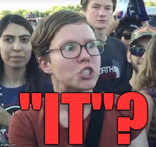 "IT"? | image tagged in triggered feminist | made w/ Imgflip meme maker