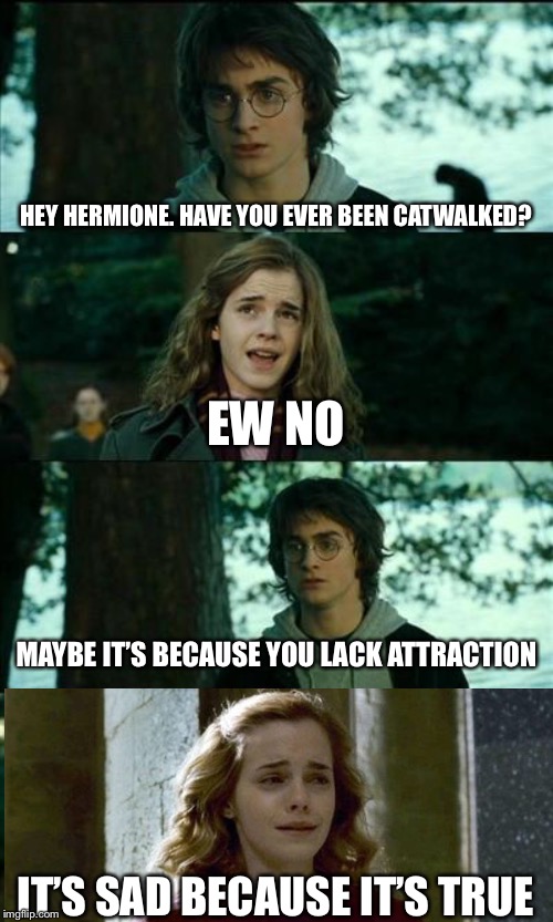 Ron in the background: Toasty! | HEY HERMIONE. HAVE YOU EVER BEEN CATWALKED? EW NO; MAYBE IT’S BECAUSE YOU LACK ATTRACTION; IT’S SAD BECAUSE IT’S TRUE | image tagged in memes,horny harry,roasted,burned,hermione granger,harry potter and hermione | made w/ Imgflip meme maker
