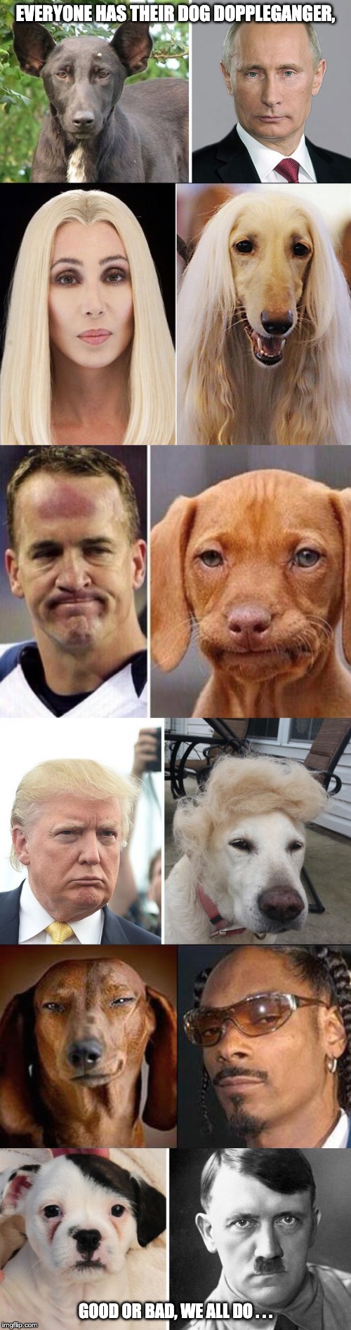 DOGpplegangers | EVERYONE HAS THEIR DOG DOPPLEGANGER, GOOD OR BAD, WE ALL DO . . . | image tagged in dogs,snoop dogg,vladimir putin,donald trump,disappointed dog,adolf | made w/ Imgflip meme maker