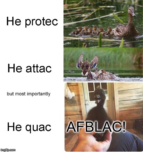 AFBLAC! | AFBLAC! | image tagged in aflac,he protec he attac but most importantly,black lives matter,racist | made w/ Imgflip meme maker