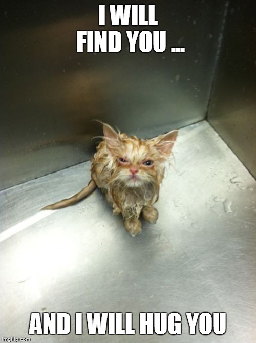 Kill You Cat | I WILL FIND YOU ... AND I WILL HUG YOU | image tagged in memes,kill you cat | made w/ Imgflip meme maker