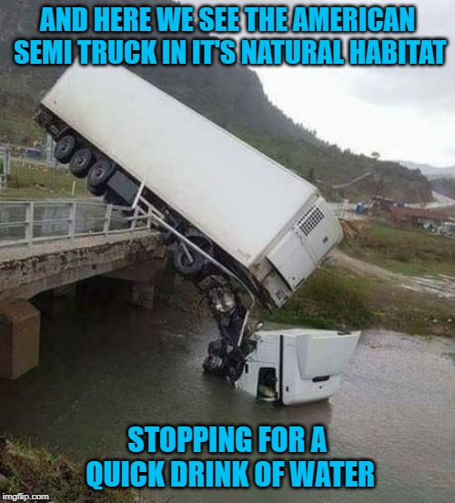 Driving all those miles you don't want to overheat!!! | AND HERE WE SEE THE AMERICAN SEMI TRUCK IN IT'S NATURAL HABITAT; STOPPING FOR A QUICK DRINK OF WATER | image tagged in semi truck,memes,drink of water,funny,overheating,oops | made w/ Imgflip meme maker