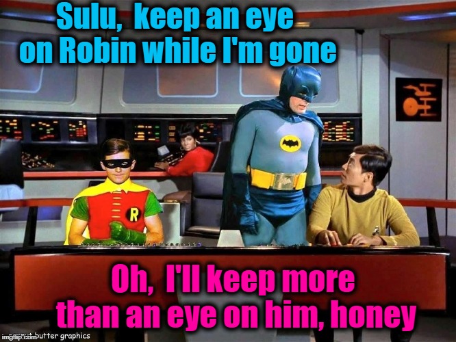 I turned it off quickly after this part! lol | Sulu,  keep an eye on Robin while I'm gone; Oh,  I'll keep more than an eye on him, honey | image tagged in batman star trek | made w/ Imgflip meme maker