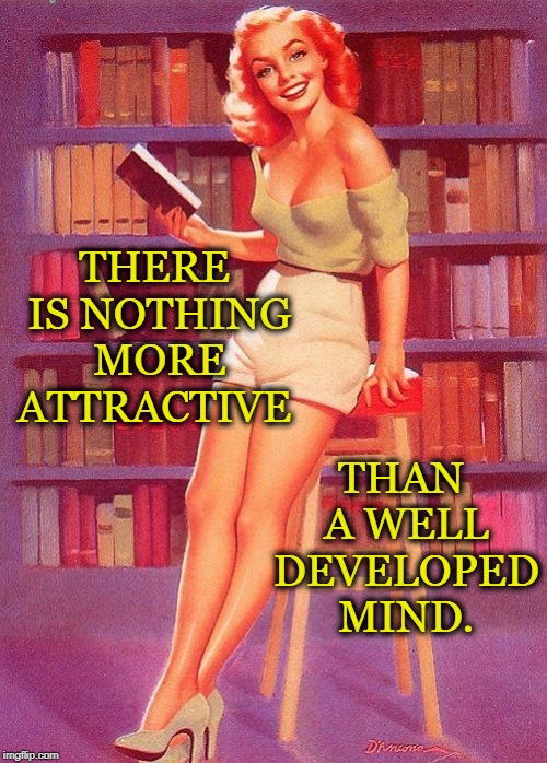 a well developed mind | THAN A WELL DEVELOPED MIND. THERE IS NOTHING MORE ATTRACTIVE | image tagged in pin up girl reading,book,knowledge,read | made w/ Imgflip meme maker