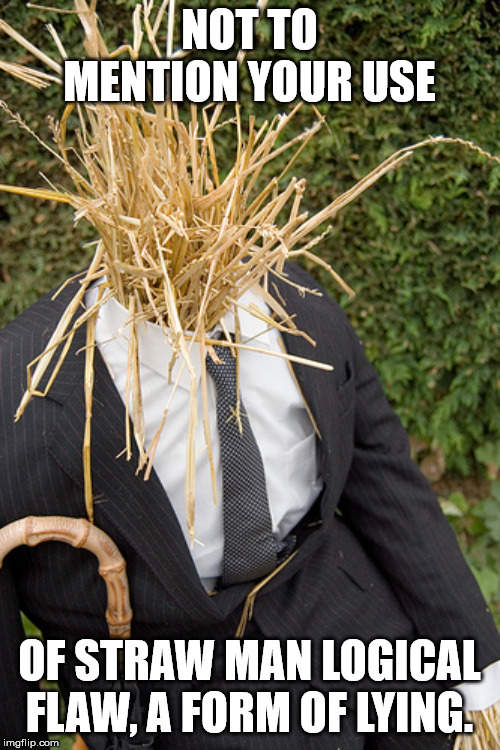 NOT TO MENTION YOUR USE OF STRAW MAN LOGICAL FLAW, A FORM OF LYING. | image tagged in straw man | made w/ Imgflip meme maker
