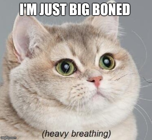 Heavy Breathing Cat Meme | I'M JUST BIG BONED | image tagged in memes,heavy breathing cat | made w/ Imgflip meme maker