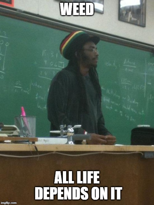 Rasta Science Teacher | WEED; ALL LIFE DEPENDS ON IT | image tagged in memes,rasta science teacher | made w/ Imgflip meme maker