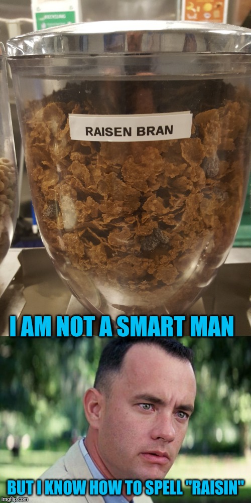 It seems that only the smartest work in cafeterias | I AM NOT A SMART MAN; BUT I KNOW HOW TO SPELL "RAISIN" | image tagged in forrest gump,cafeteria,spelling error,raisin,success kid,smart people | made w/ Imgflip meme maker