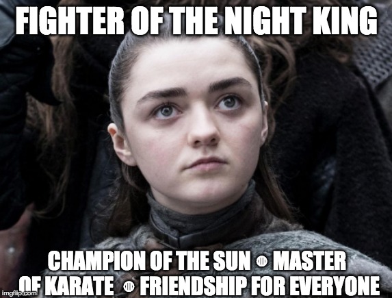 FIGHTER OF THE NIGHT KING; CHAMPION OF THE SUN ◍ MASTER OF KARATE  ◍ FRIENDSHIP FOR EVERYONE | image tagged in game of thrones night king,it's always sunny in philidelphia,arya stark | made w/ Imgflip meme maker