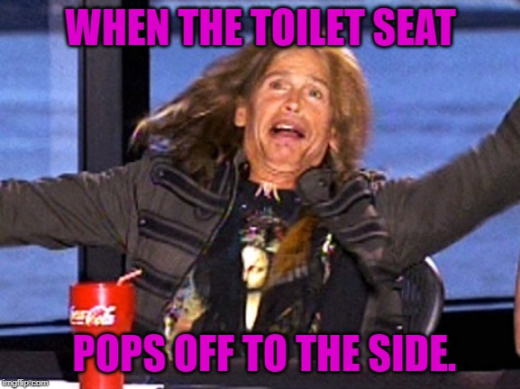 You know the feeling! | WHEN THE TOILET SEAT; POPS OFF TO THE SIDE. | image tagged in nixieknox,memes,steven tyler | made w/ Imgflip meme maker