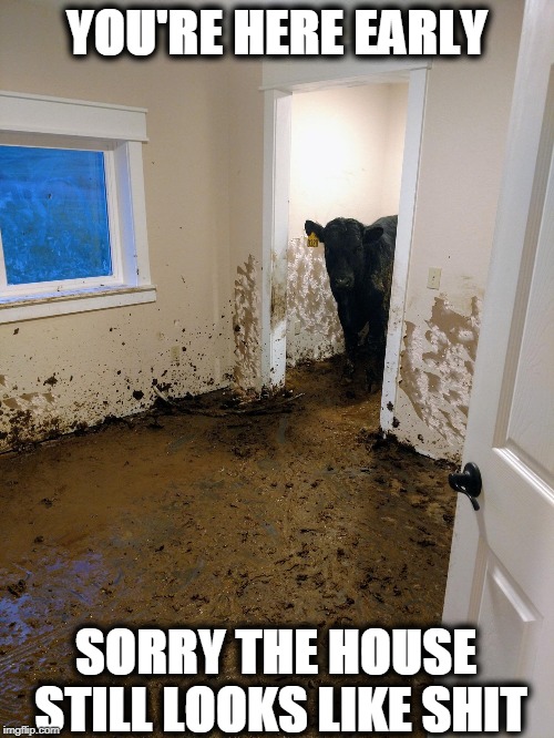 Bad Housekeeping | YOU'RE HERE EARLY; SORRY THE HOUSE STILL LOOKS LIKE SHIT | image tagged in cow,house,dirty | made w/ Imgflip meme maker