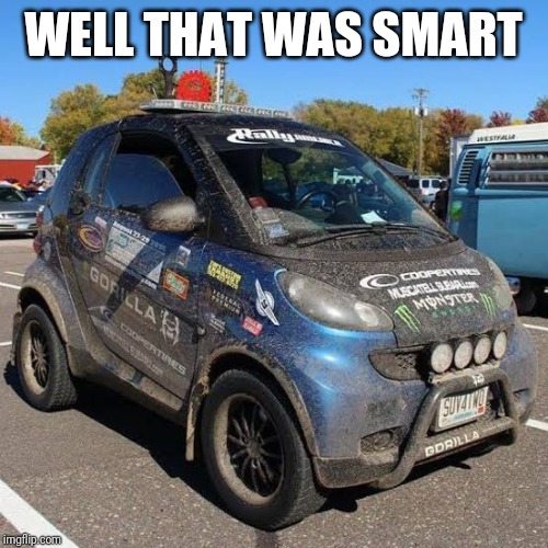 Smart Rally Car | WELL THAT WAS SMART | image tagged in smart car | made w/ Imgflip meme maker
