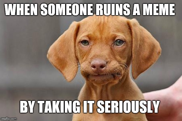 Dissapointed puppy | WHEN SOMEONE RUINS A MEME; BY TAKING IT SERIOUSLY | image tagged in dissapointed puppy,why so serious | made w/ Imgflip meme maker