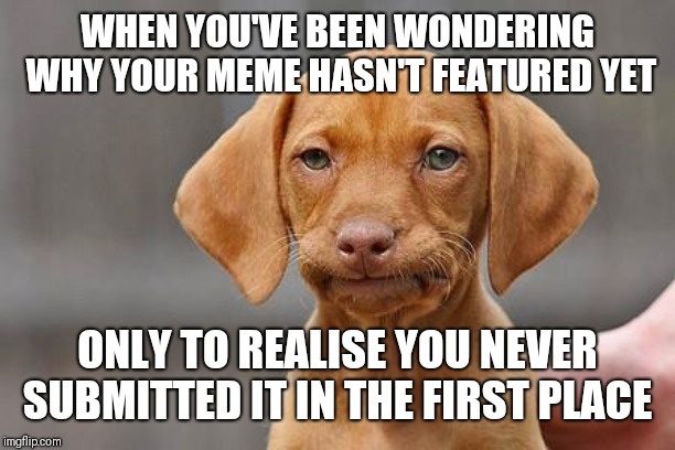 Dissapointed puppy | WHEN YOU'VE BEEN WONDERING WHY YOUR MEME HASN'T FEATURED YET; ONLY TO REALISE YOU NEVER SUBMITTED IT IN THE FIRST PLACE | image tagged in dissapointed puppy | made w/ Imgflip meme maker