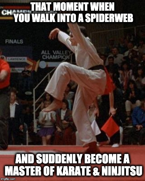 Spiderweb Karate | THAT MOMENT WHEN YOU WALK INTO A SPIDERWEB; AND SUDDENLY BECOME A MASTER OF KARATE & NINJITSU | image tagged in karate kid,sweep the leg,spiderweb,spiderweb dance | made w/ Imgflip meme maker