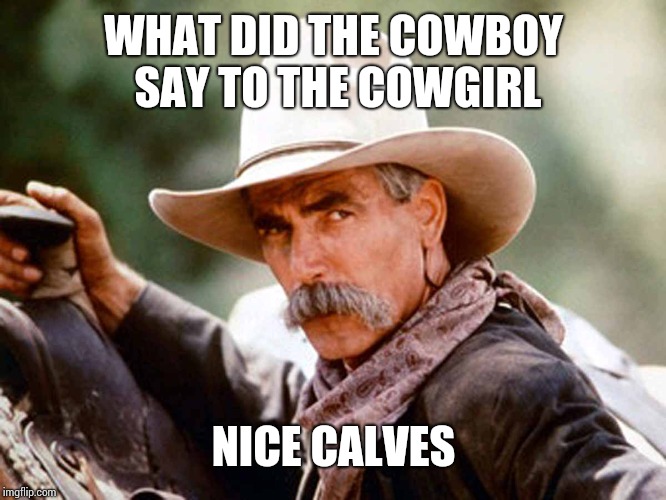 Sam Elliott Cowboy | WHAT DID THE COWBOY SAY TO THE COWGIRL; NICE CALVES | image tagged in sam elliott cowboy | made w/ Imgflip meme maker