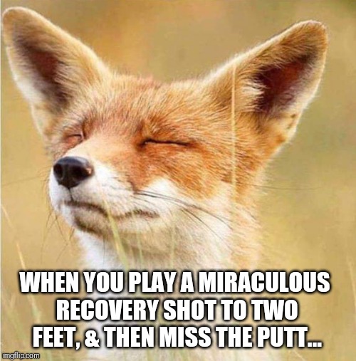 WHEN YOU PLAY A MIRACULOUS RECOVERY SHOT TO TWO FEET, & THEN MISS THE PUTT... | image tagged in memes,golf,fox,hacker | made w/ Imgflip meme maker
