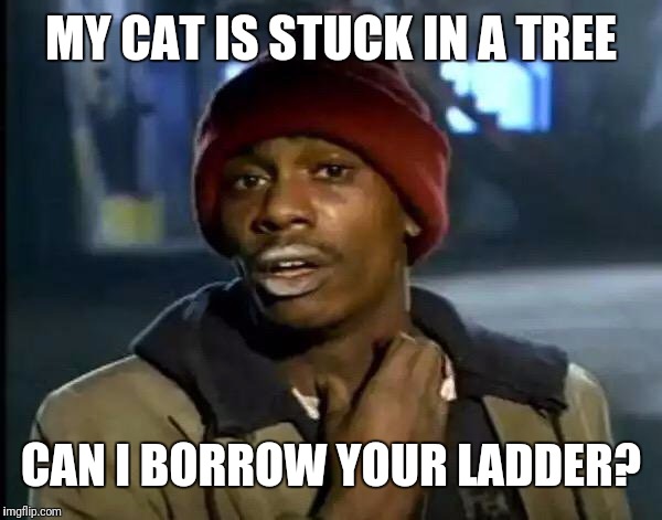MY CAT IS STUCK IN A TREE CAN I BORROW YOUR LADDER? | image tagged in memes,y'all got any more of that | made w/ Imgflip meme maker
