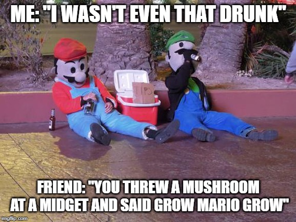 mario and luigi drunk | ME: "I WASN'T EVEN THAT DRUNK"; FRIEND: "YOU THREW A MUSHROOM AT A MIDGET AND SAID GROW MARIO GROW" | image tagged in mario and luigi drunk | made w/ Imgflip meme maker