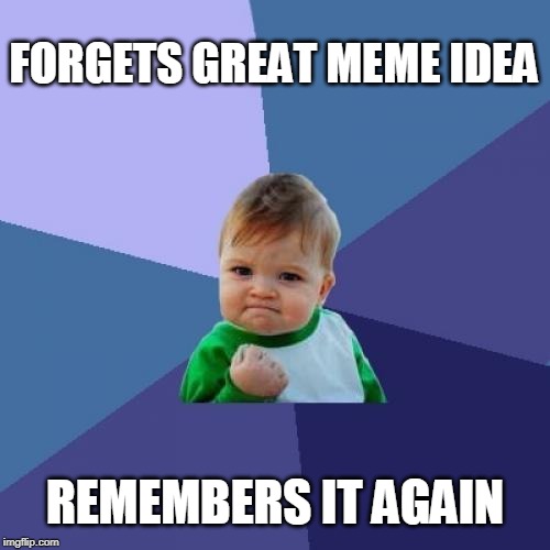 :-) | FORGETS GREAT MEME IDEA; REMEMBERS IT AGAIN | image tagged in memes,success kid | made w/ Imgflip meme maker