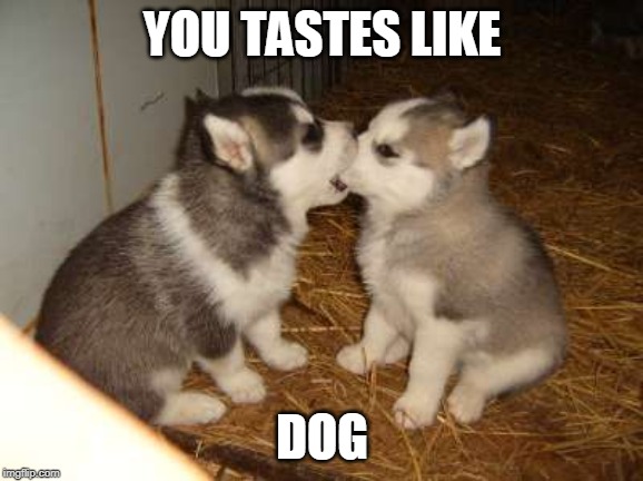 Cute Puppies | YOU TASTES LIKE; DOG | image tagged in memes,cute puppies | made w/ Imgflip meme maker