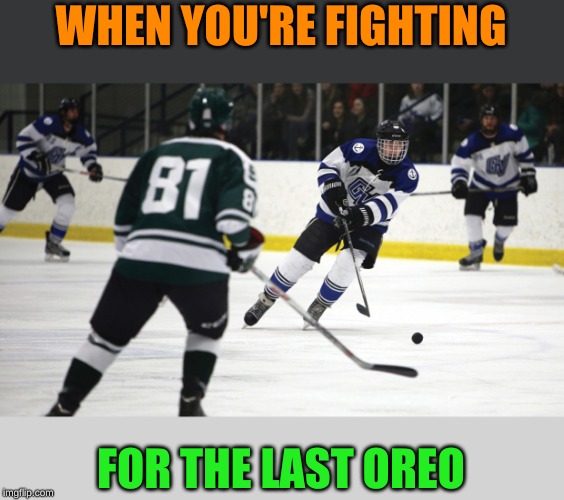 Maybe I should take up sports... | WHEN YOU'RE FIGHTING; FOR THE LAST OREO | image tagged in memes,ice hockey,oreo,yall got any more of,give that man a cookie,giveuahint | made w/ Imgflip meme maker