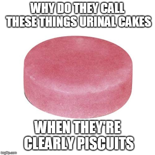 Piss Some Gravy On Your Piscuit | WHY DO THEY CALL THESE THINGS URINAL CAKES; WHEN THEY'RE CLEARLY PISCUITS | image tagged in urinal,biscuits,memes,piscuit,urinal cake,piss | made w/ Imgflip meme maker