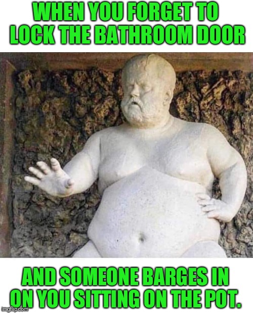 That 1% of the time you don't lock the door | WHEN YOU FORGET TO LOCK THE BATHROOM DOOR; AND SOMEONE BARGES IN ON YOU SITTING ON THE POT. | image tagged in bathroom,tmi,oops | made w/ Imgflip meme maker