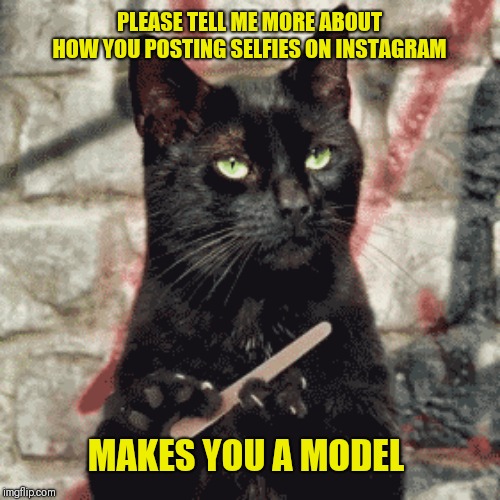 Two words I hate, selfies and Instagram | PLEASE TELL ME MORE ABOUT HOW YOU POSTING SELFIES ON INSTAGRAM; MAKES YOU A MODEL | image tagged in narcissism,me me me,instagram | made w/ Imgflip meme maker