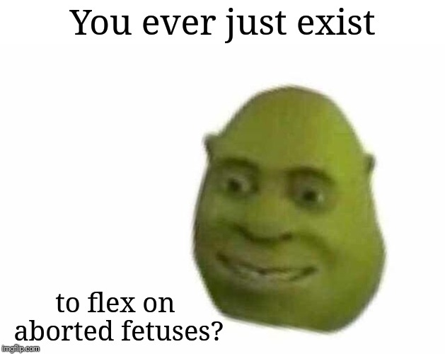 You ever just | You ever just exist; to flex on aborted fetuses? | image tagged in you ever just,existence,flex,abortion | made w/ Imgflip meme maker