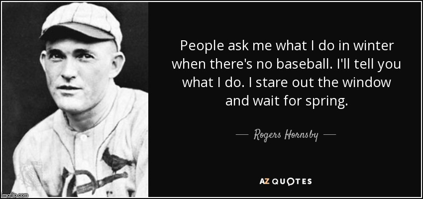 My favorite baseball quote | image tagged in roger,baseball | made w/ Imgflip meme maker