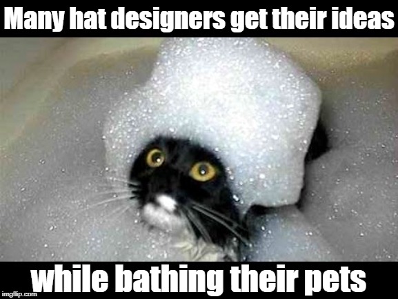 OMG! Don't move, sweety! Mommy's gotta take a picture of this! | Many hat designers get their ideas; while bathing their pets | image tagged in cats,cute,funny,lol | made w/ Imgflip meme maker