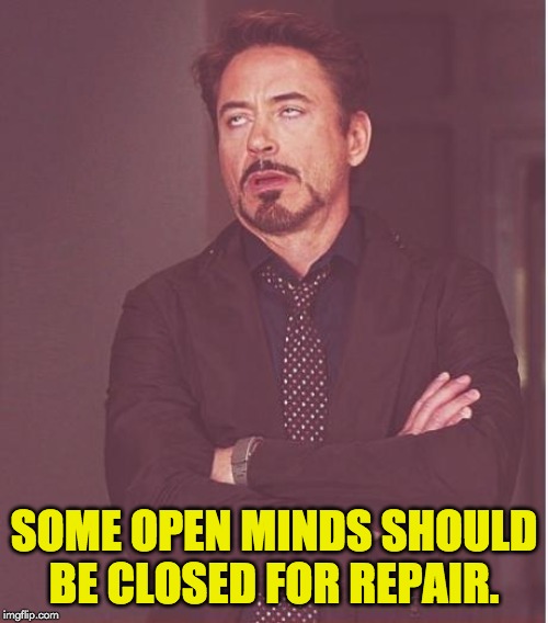 Face You Make Robert Downey Jr | SOME OPEN MINDS SHOULD BE CLOSED FOR REPAIR. | image tagged in memes,face you make robert downey jr | made w/ Imgflip meme maker
