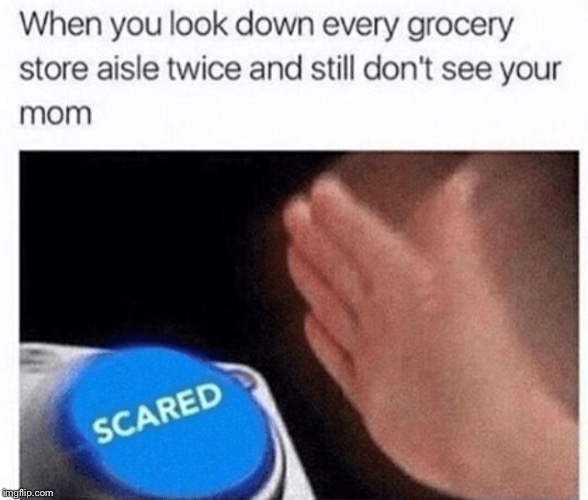 Mom? Can you hear me? | image tagged in mom,grocery store,scared,memes | made w/ Imgflip meme maker