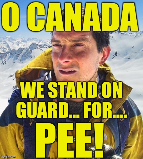 Happy Canada Day! | O CANADA; WE STAND ON GUARD... FOR.... PEE! | image tagged in memes,bear grylls,canada day | made w/ Imgflip meme maker