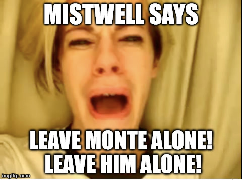 Leave Britney Alone | MISTWELL SAYS LEAVE MONTE ALONE! LEAVE HIM ALONE! | image tagged in leave britney alone | made w/ Imgflip meme maker