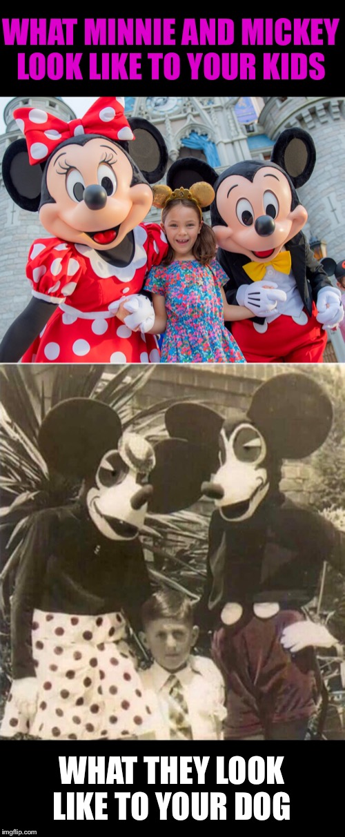 Please, keep your dog at home. | WHAT MINNIE AND MICKEY LOOK LIKE TO YOUR KIDS; WHAT THEY LOOK LIKE TO YOUR DOG | image tagged in mickey mouse,disneyland,kids,scared dog,funny memes | made w/ Imgflip meme maker