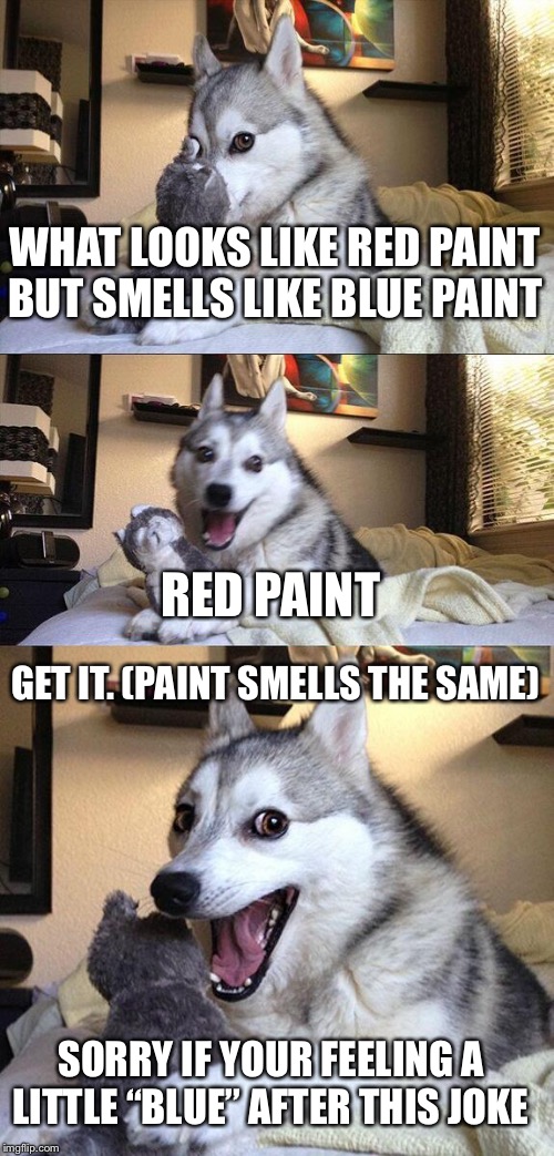 Sorry if this joke stinks (pun intended) | WHAT LOOKS LIKE RED PAINT BUT SMELLS LIKE BLUE PAINT; RED PAINT; GET IT. (PAINT SMELLS THE SAME); SORRY IF YOUR FEELING A LITTLE “BLUE” AFTER THIS JOKE | image tagged in memes,bad pun dog,paint,puns,dogs,colors | made w/ Imgflip meme maker