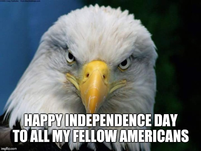 Happy July 4th | HAPPY INDEPENDENCE DAY TO ALL MY FELLOW AMERICANS | image tagged in american bald eagle,independence day,4th of july,'murica,freedom | made w/ Imgflip meme maker