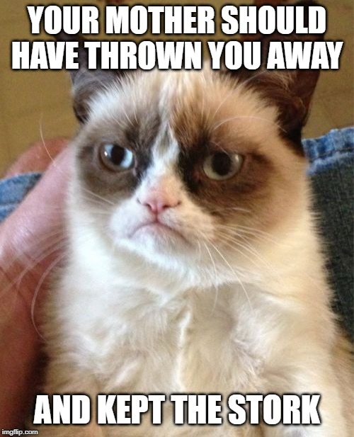 Grumpy Cat | YOUR MOTHER SHOULD HAVE THROWN YOU AWAY; AND KEPT THE STORK | image tagged in memes,grumpy cat,mae west | made w/ Imgflip meme maker