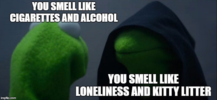 Evil Kermit | YOU SMELL LIKE CIGARETTES AND ALCOHOL; YOU SMELL LIKE LONELINESS AND KITTY LITTER | image tagged in memes,evil kermit,random,kitty,alcohol,cigarettes | made w/ Imgflip meme maker