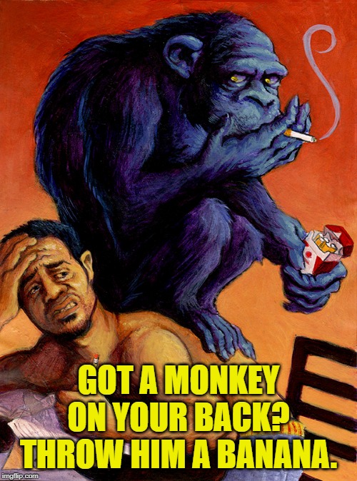 Unless he's hanging on, in that case throw poop at him. | GOT A MONKEY ON YOUR BACK? THROW HIM A BANANA. | image tagged in nixieknox,memes,addiction | made w/ Imgflip meme maker