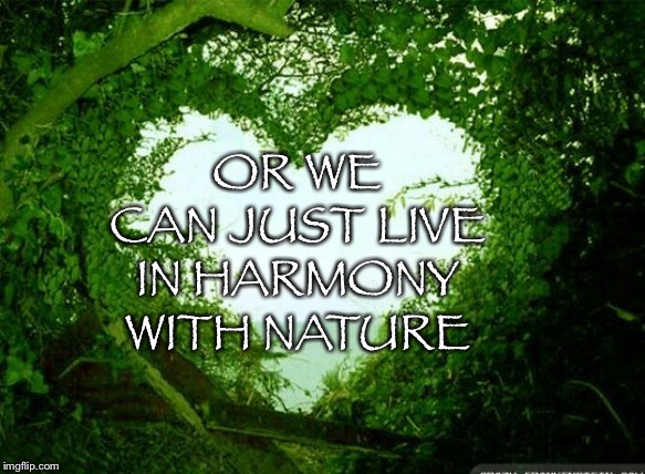 OR WE CAN JUST LIVE IN HARMONY WITH NATURE | image tagged in nature heart | made w/ Imgflip meme maker
