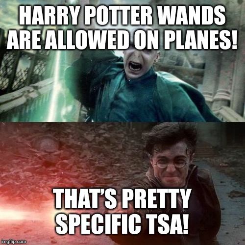 Harry Potter meme | HARRY POTTER WANDS ARE ALLOWED ON PLANES! THAT’S PRETTY SPECIFIC TSA! | image tagged in harry potter meme | made w/ Imgflip meme maker