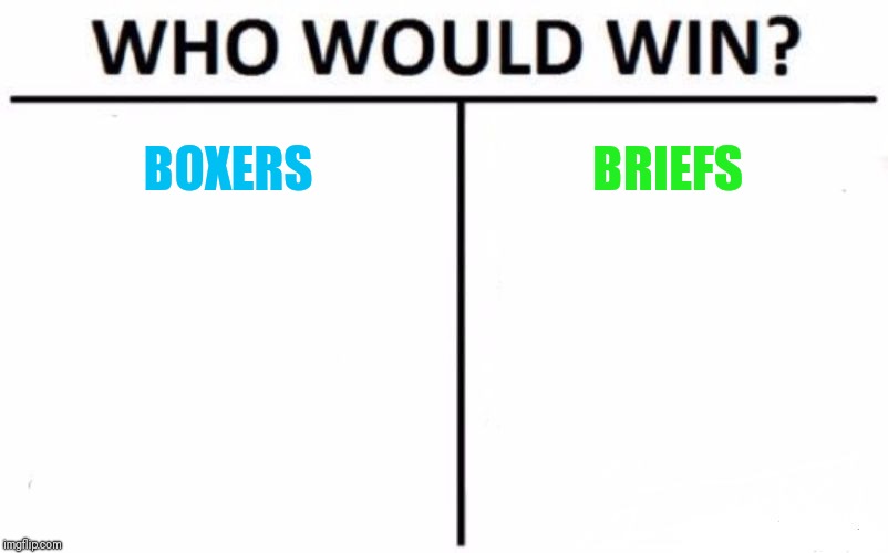 Who Would Win? | BOXERS; BRIEFS | image tagged in memes,who would win | made w/ Imgflip meme maker