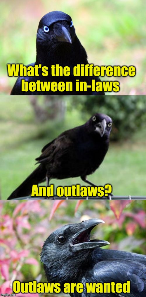 Dead or Alive | What's the difference between in-laws; And outlaws? Outlaws are wanted | image tagged in bad pun crow,memes,puns,wanted poster,cowboy wisdom,craziness_all_the_way | made w/ Imgflip meme maker